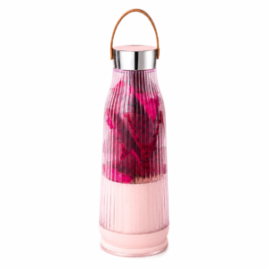 LN-530 420ml portable juice blender for wholesale and OEM orders